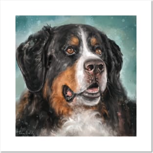 Painting of a Bernese Mountain Dog, on Dark Turquoise Background Posters and Art